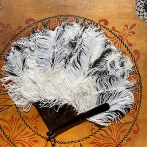 Black and white ostrich feather fan