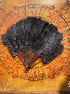 black ostrich feather fan