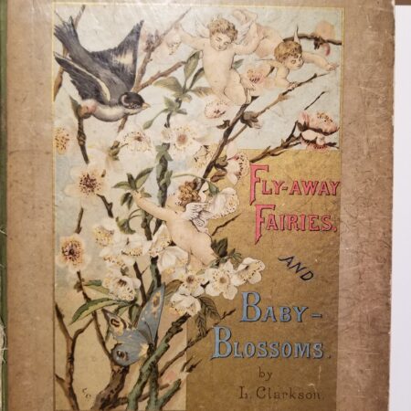 Cover of Fly-Away Fairies and Baby Blossoms book