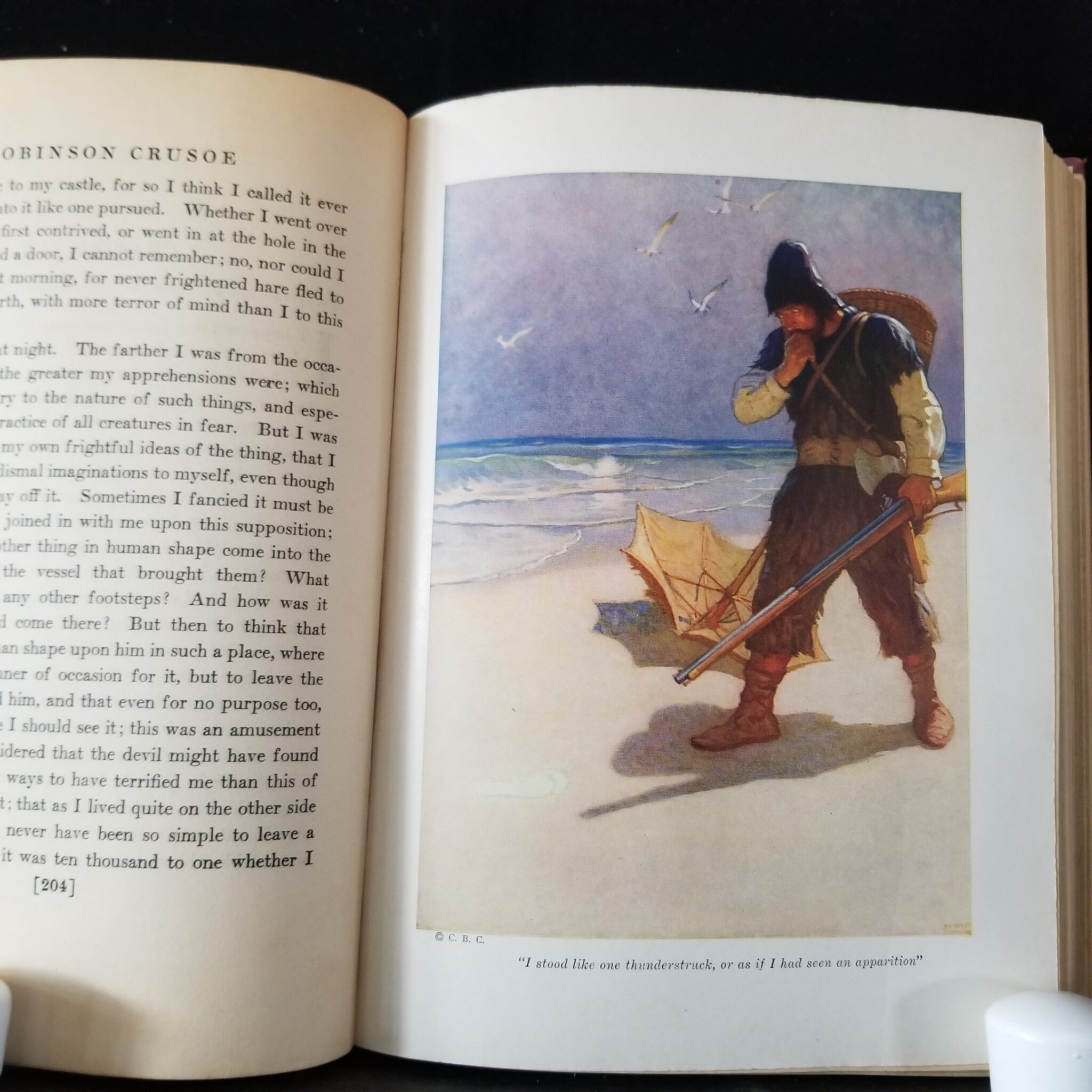 Robinson Crusoe illustrated by N C Wyeth 1920 edition | Gadabout Vintage