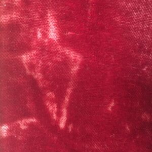 Red buggy blanket